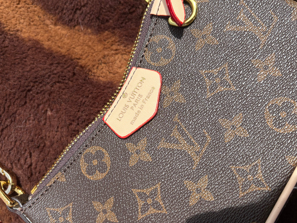 LV with Cheetah