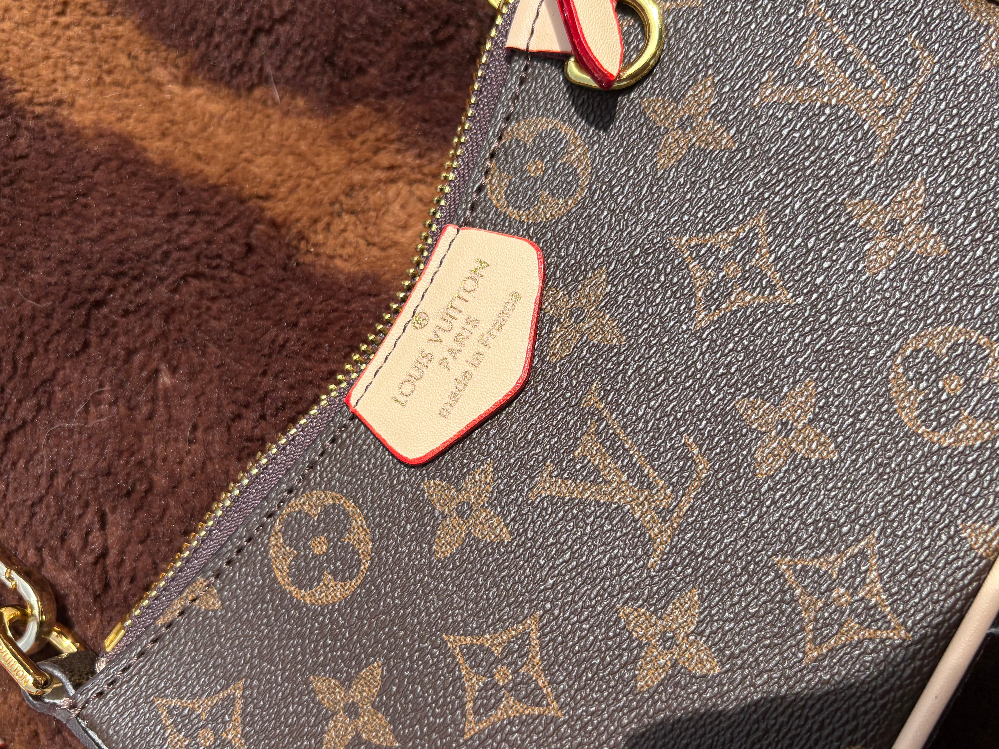 LV with Cheetah