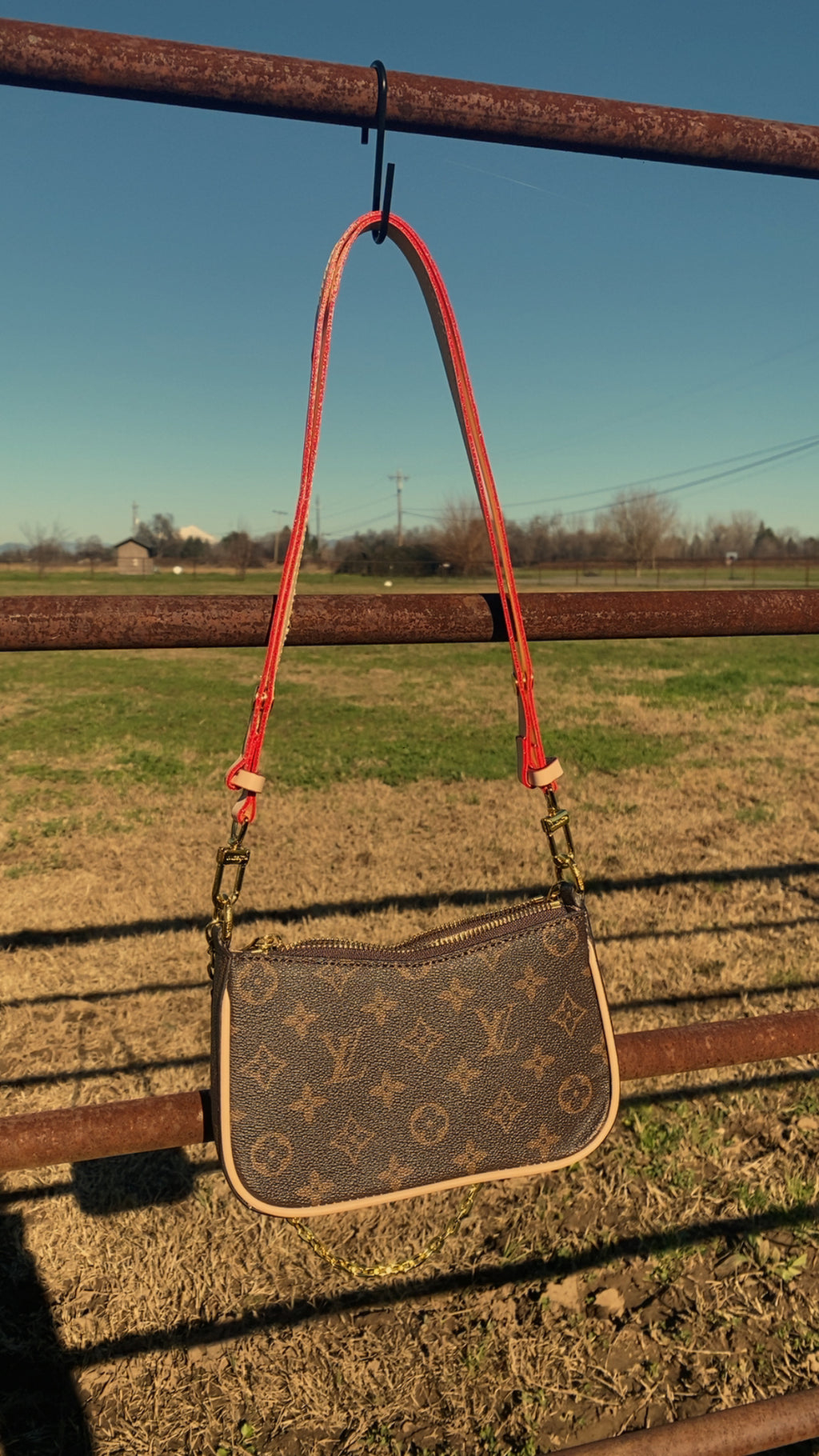 LV Brown monogram purse