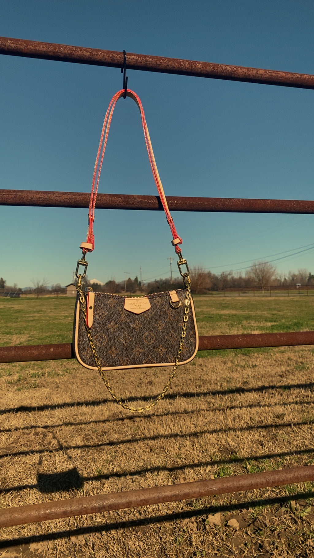 LV monogram purse
