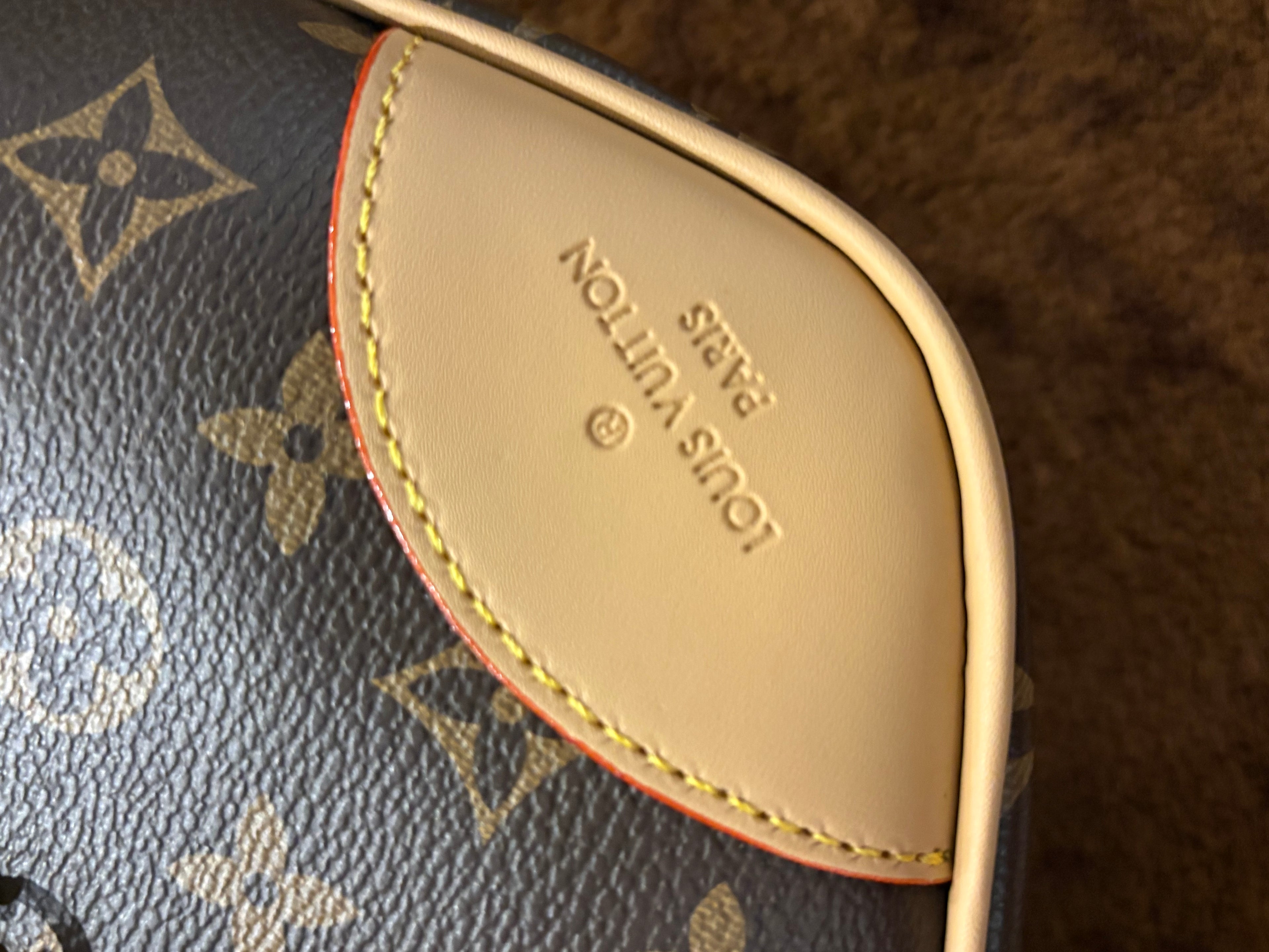 LV bag