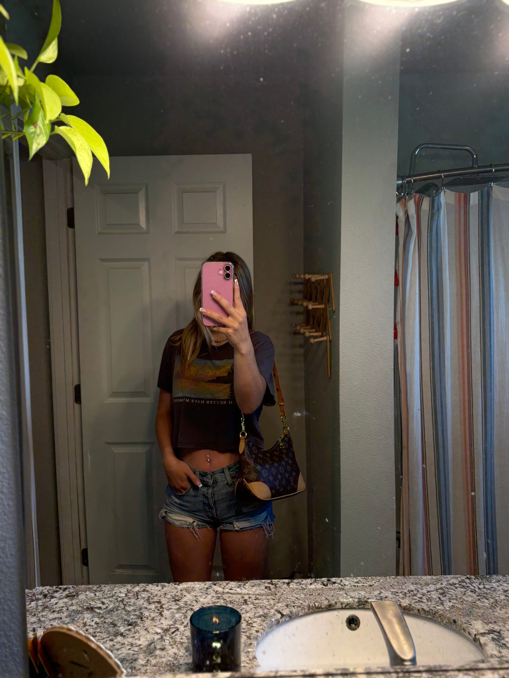 LV bag