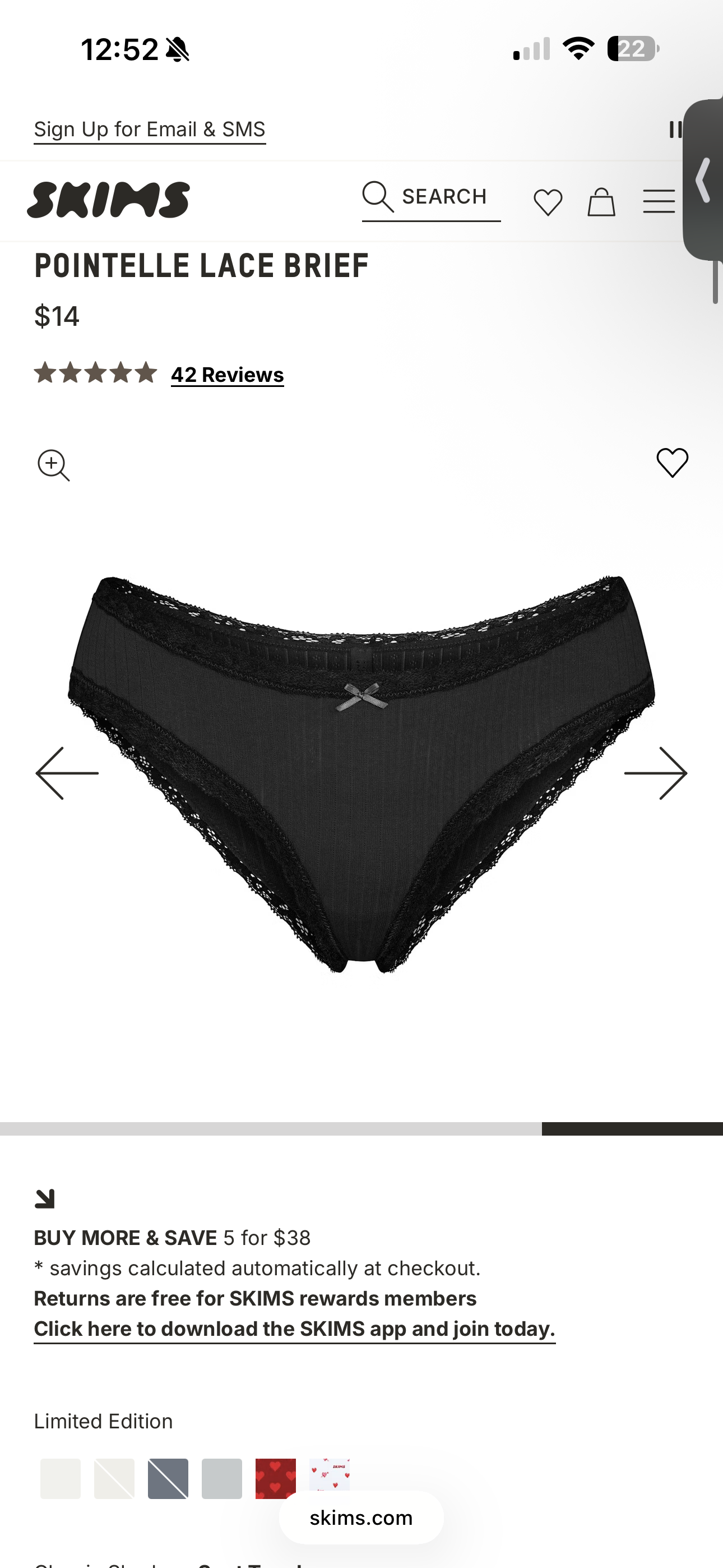Skims panties
