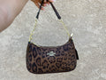 Cheetah coach