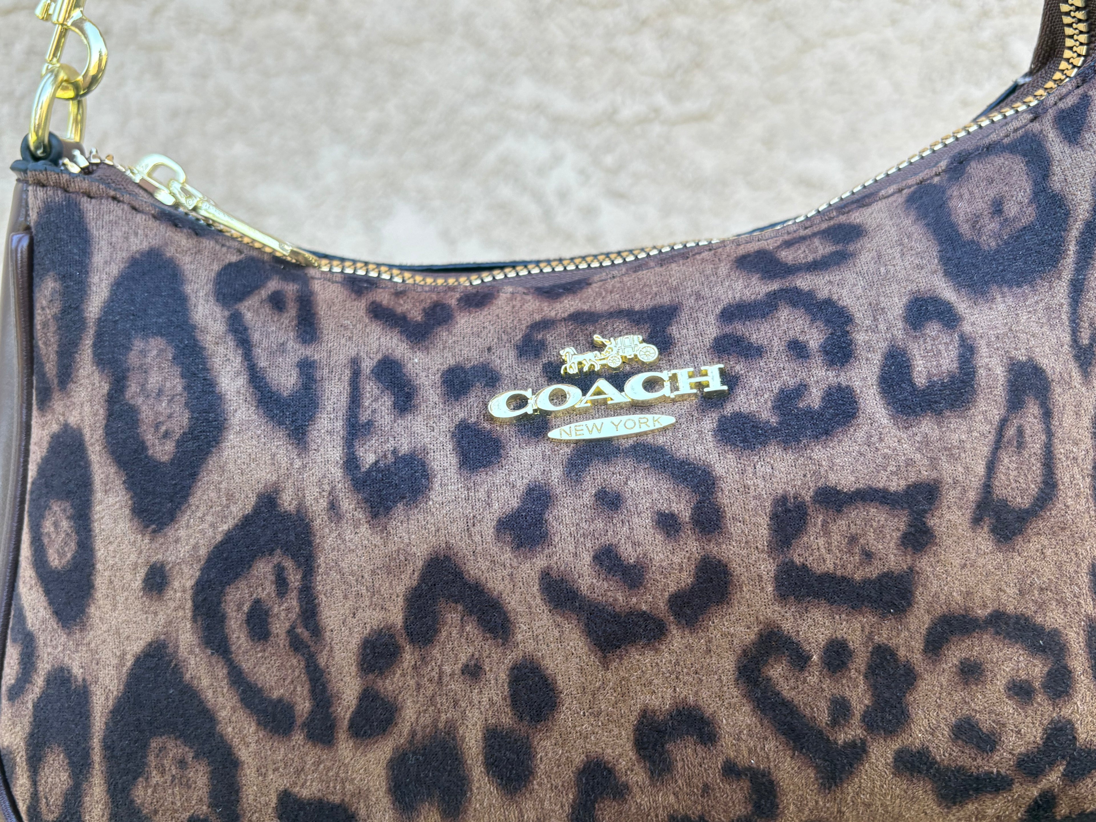Cheetah coach