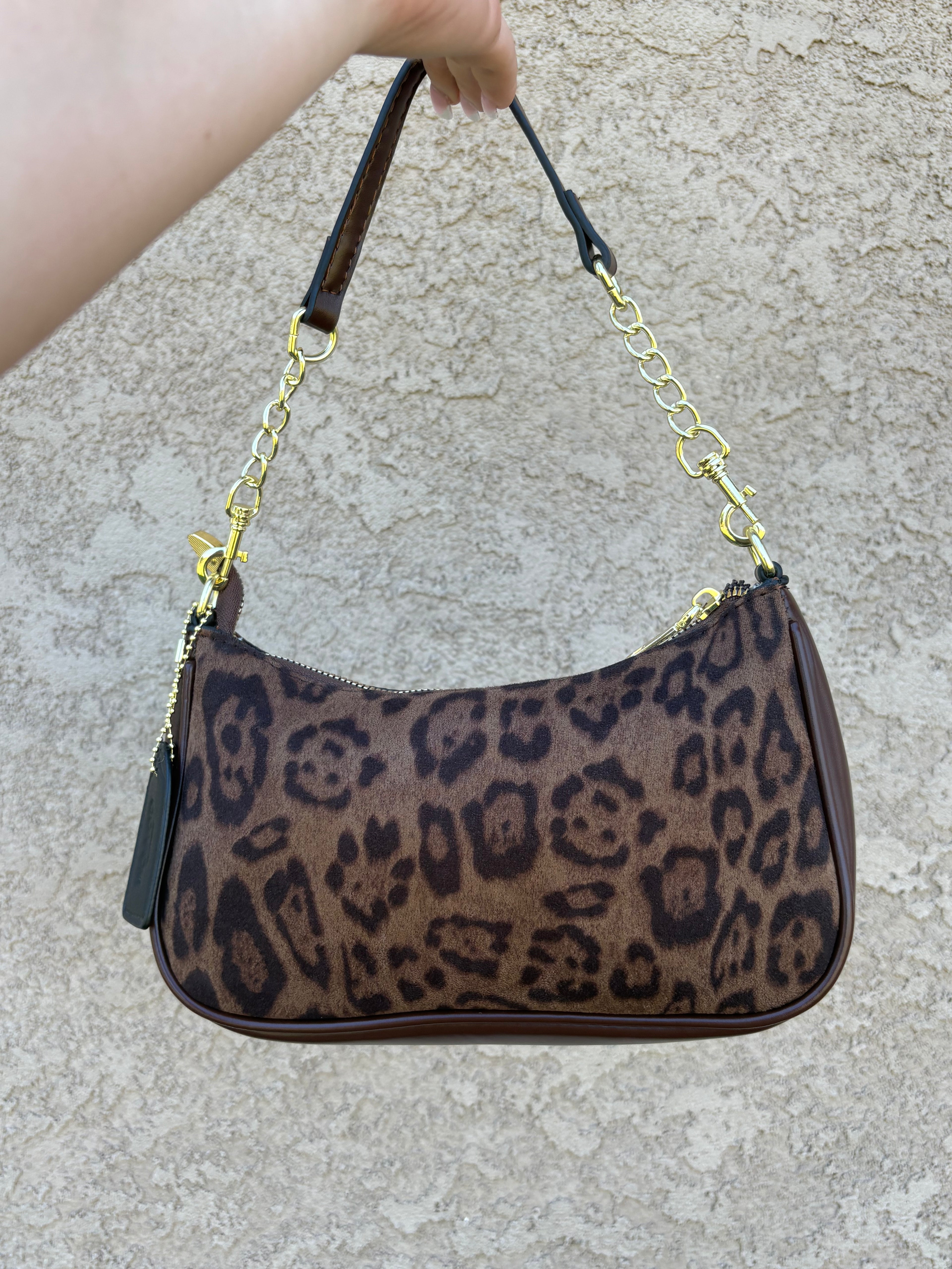 Cheetah coach